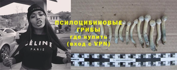 амф Белоозёрский