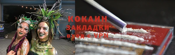 СК Белокуриха
