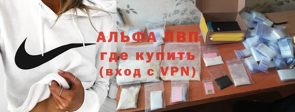 spice Беломорск