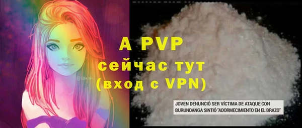 СК Белокуриха