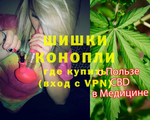 СК Белокуриха
