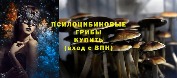 амф Белоозёрский