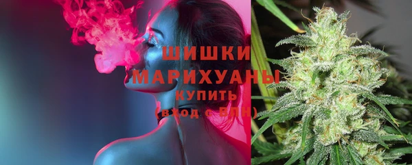 spice Беломорск