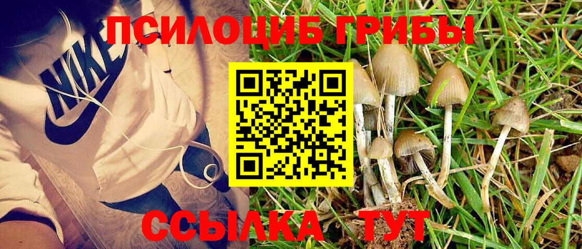Псилоцибиновые грибы прущие грибы  где найти   Свободный  Вход с VPN 