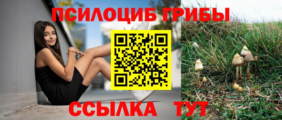 Галлюциногенные грибы ЛСД Свободный